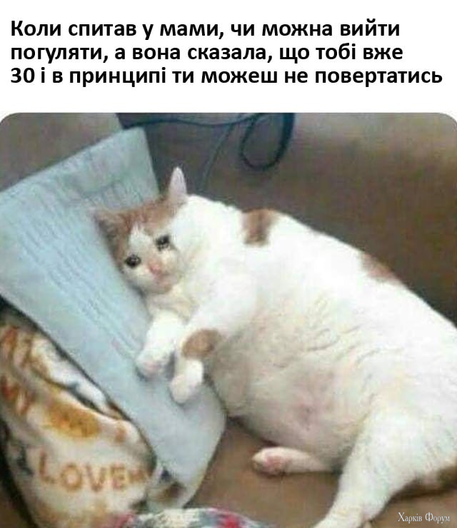 1744728148260.png