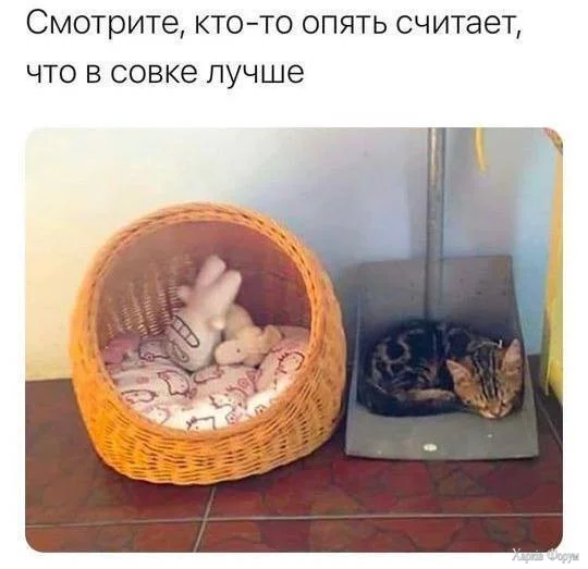 1744837451258.webp