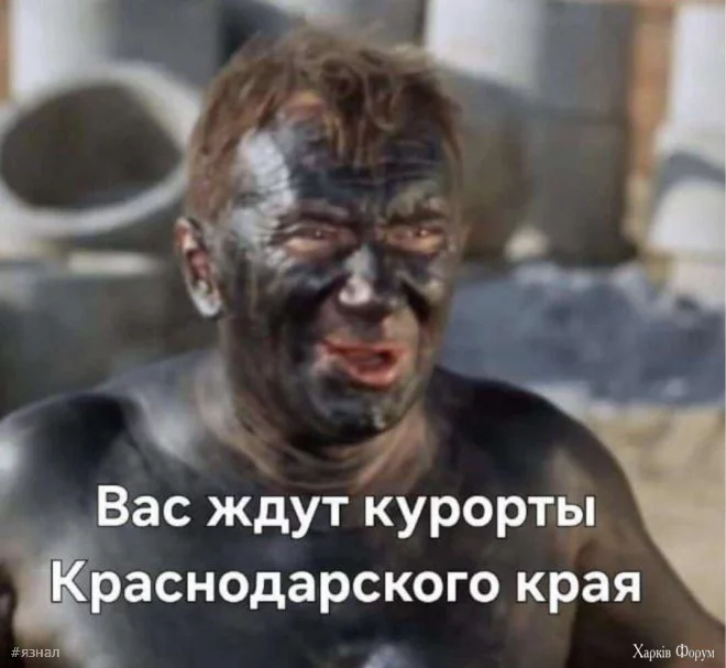 1745107929186.webp