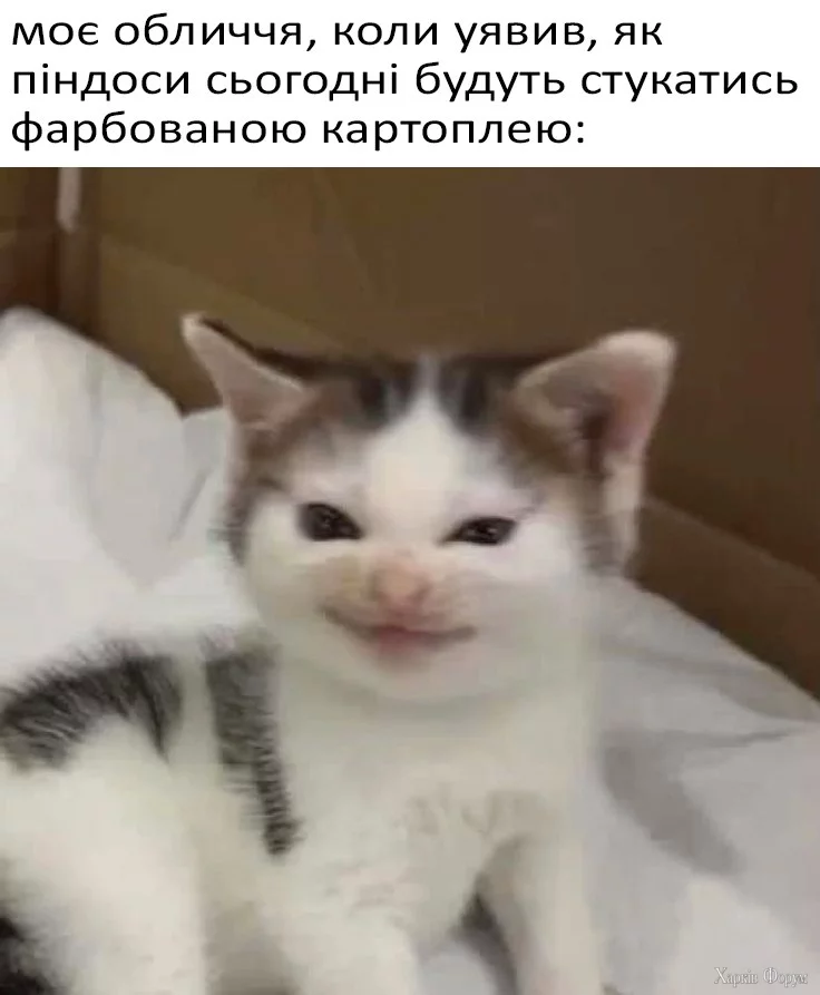 1745137113222.webp