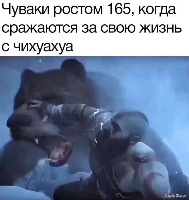 1745230864-mixnews-a9641a00778aa6e80612171b7c302242.webp