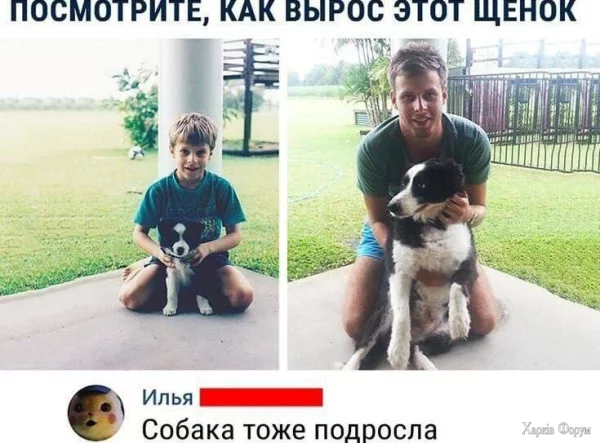1745278635387.webp
