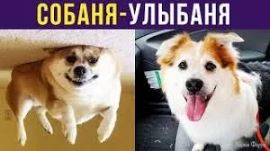 1745343433530.webp