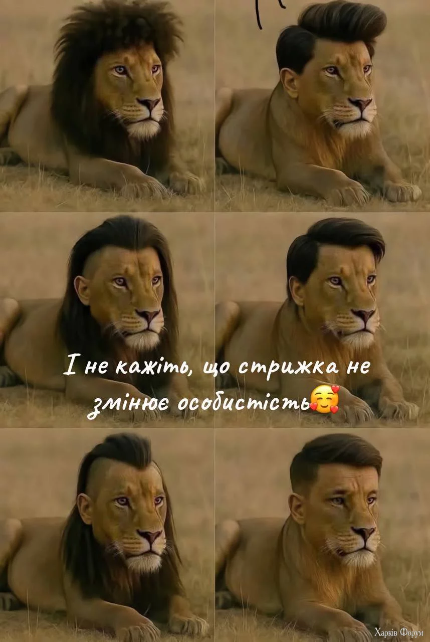 1745511831470.webp