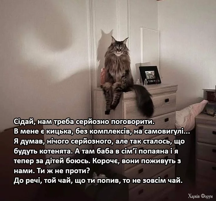 1745576118424.webp
