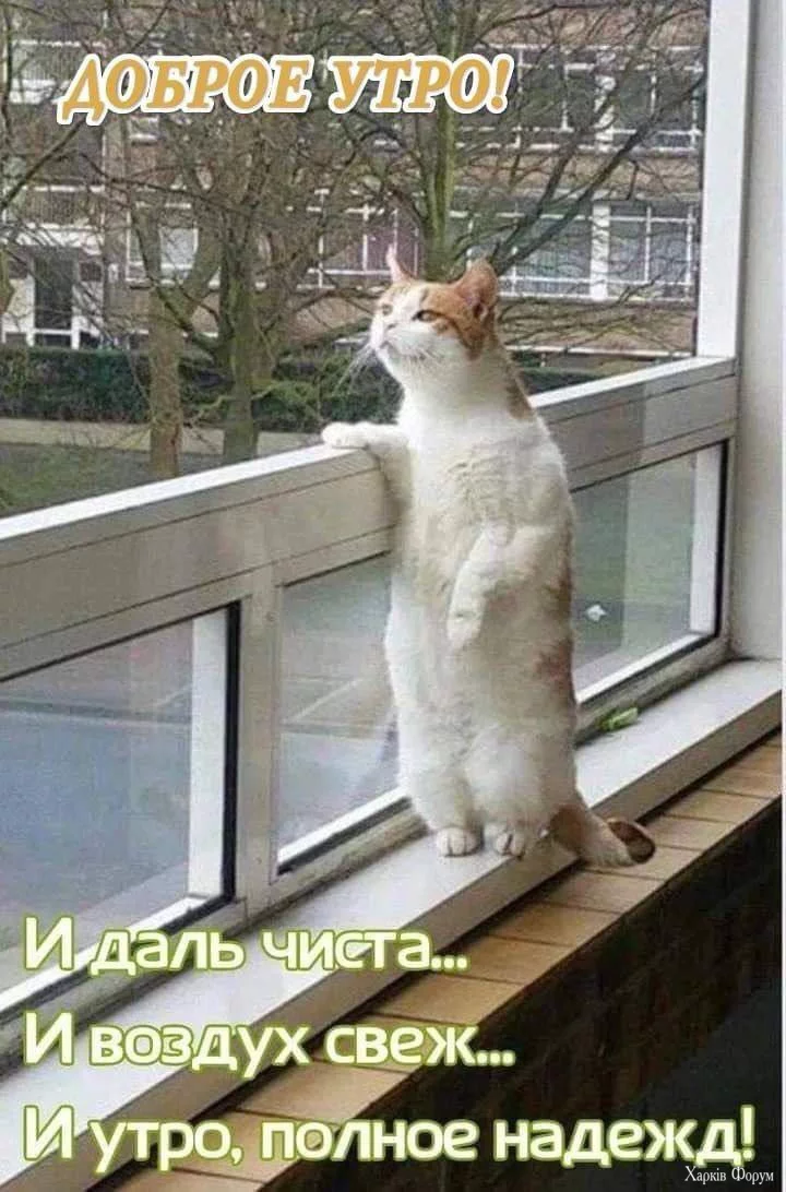 1745736148805.webp