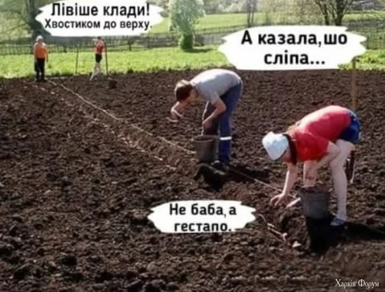 1745742901697.webp