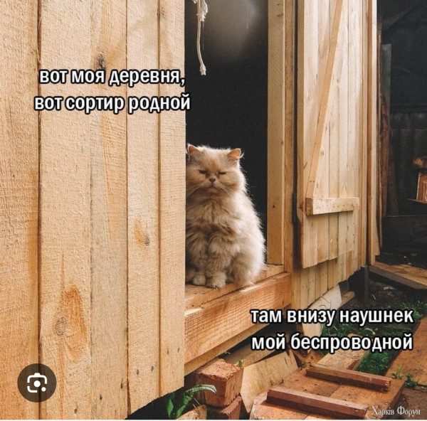 1745798433257.png