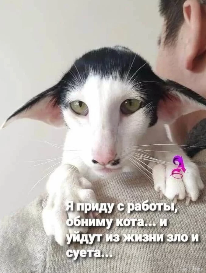 1745879661875.webp