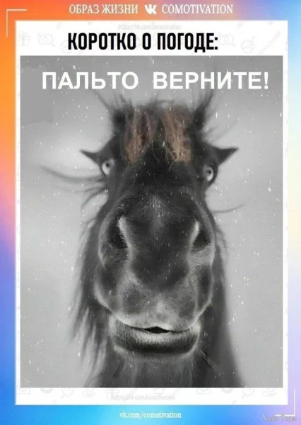 1745880399572.webp