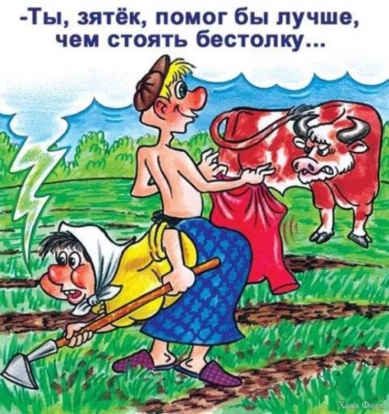 1746057174182.webp