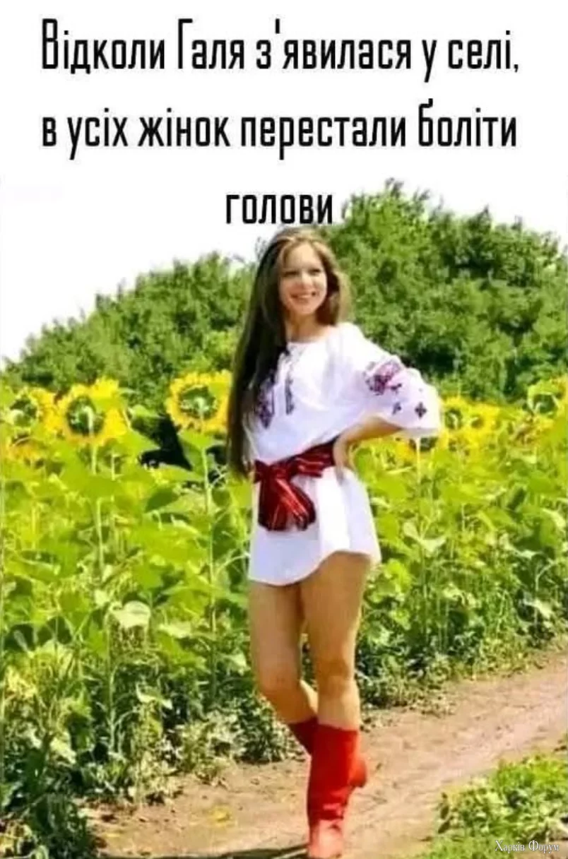 1746101696369.webp
