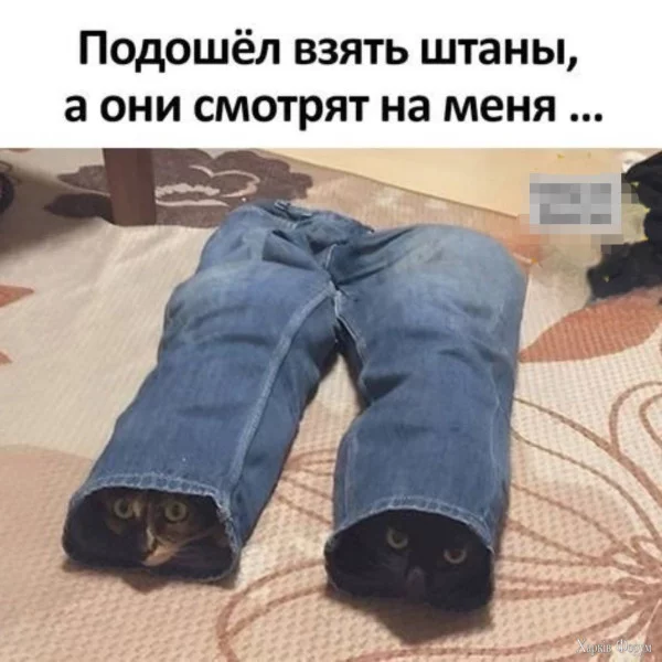 1746137385383.webp