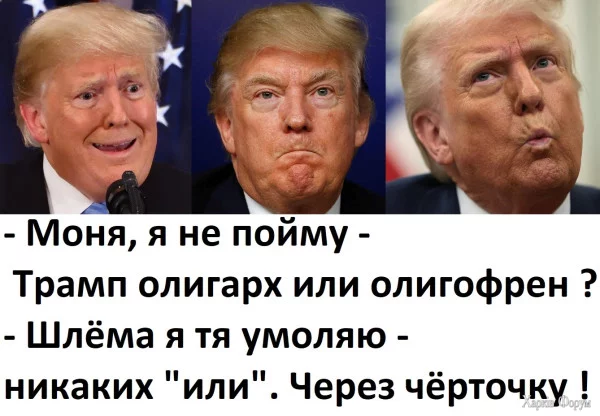 1746139338075.webp