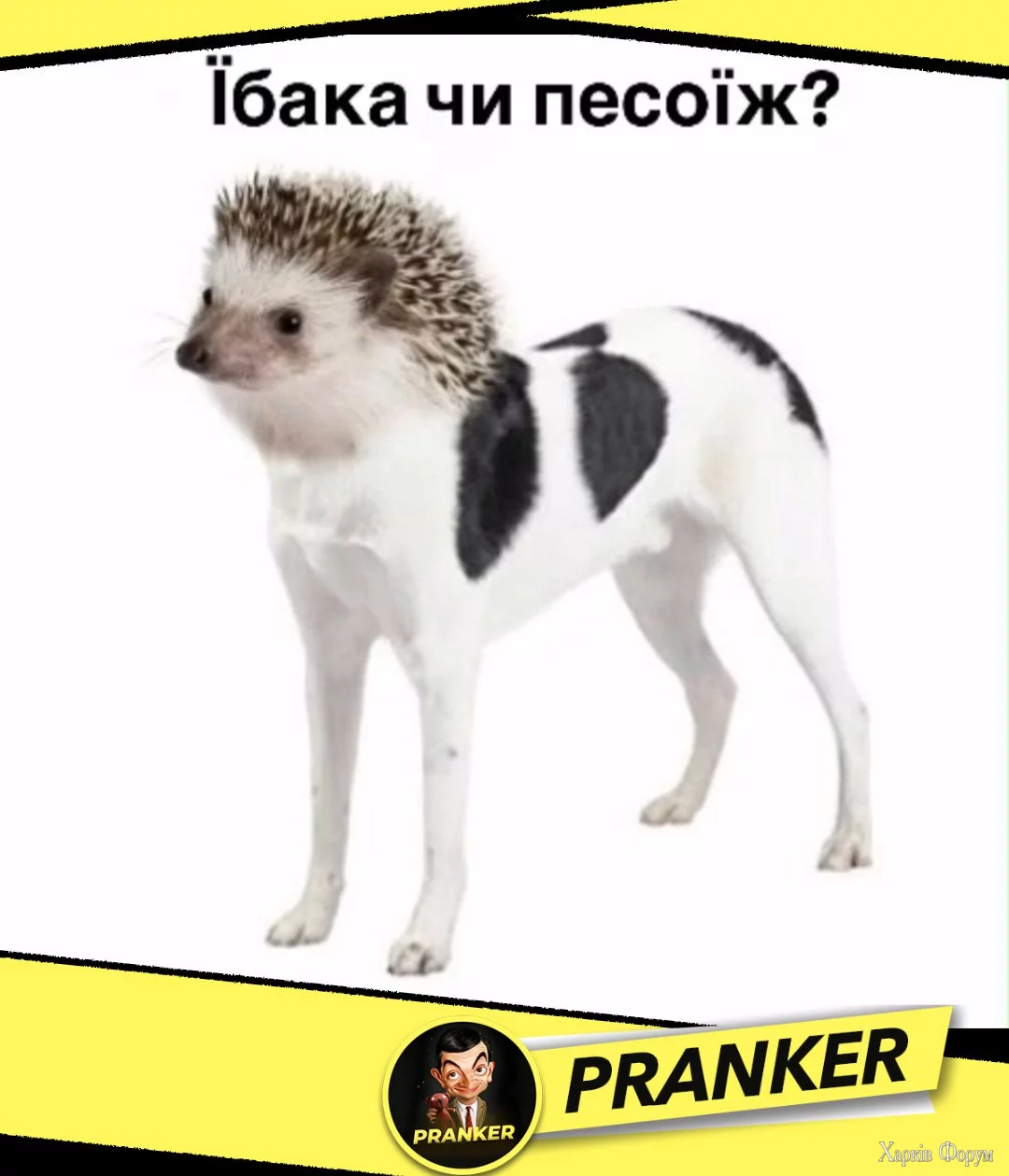 1746175902751.webp