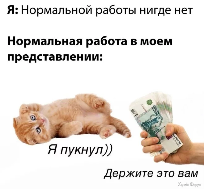 1746194025-mixnews-40f112aeb1e1ea043ab5f64a21d15001.webp