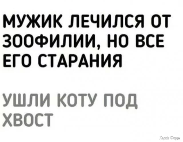 1746300935908.webp