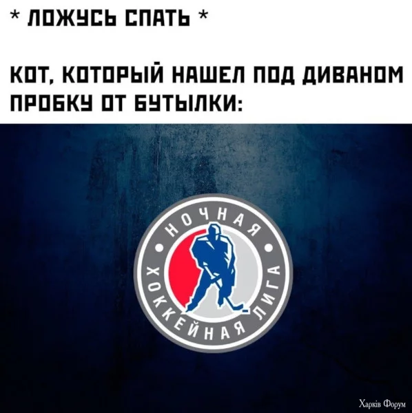 1746306486131.webp