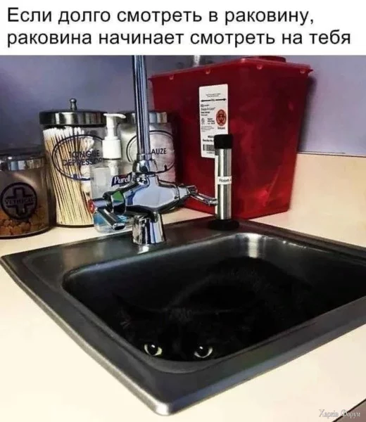 1746395549780.webp