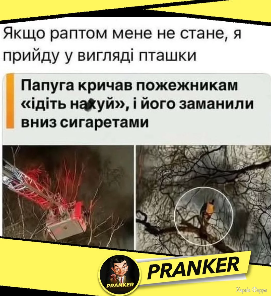 1746609177164.webp