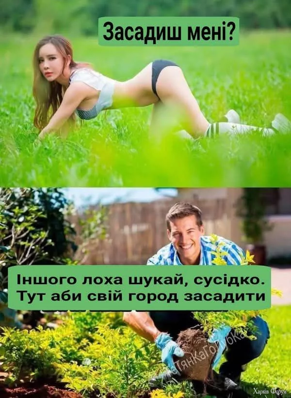 1746733767828.webp