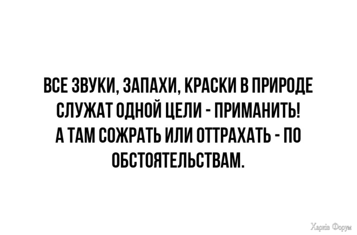 1746765659-mixnews-3eaa078b997b0cad4279b2aeeac3c401.jpg