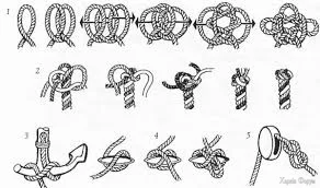 1746775028355.webp