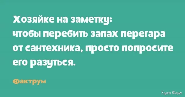 1747117135646.webp