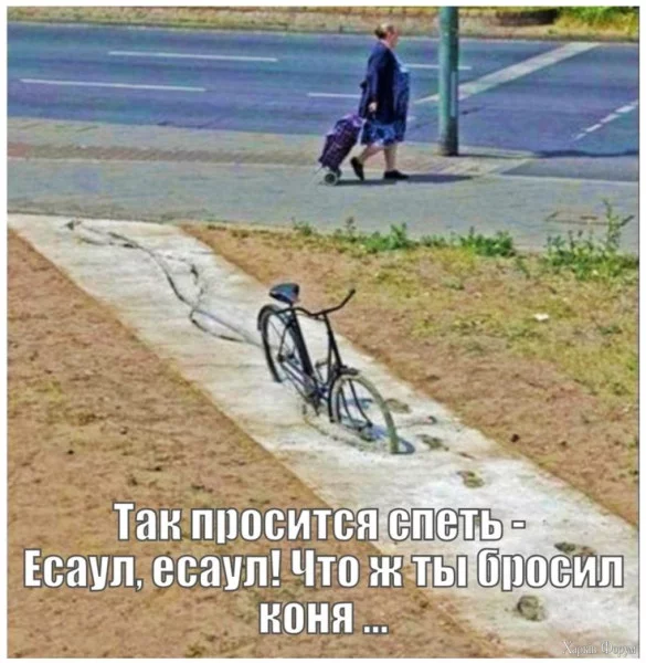 1747172311040.webp