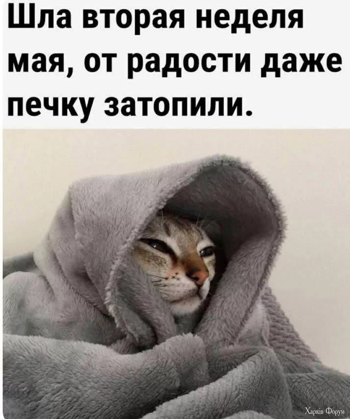 1747243462082.webp