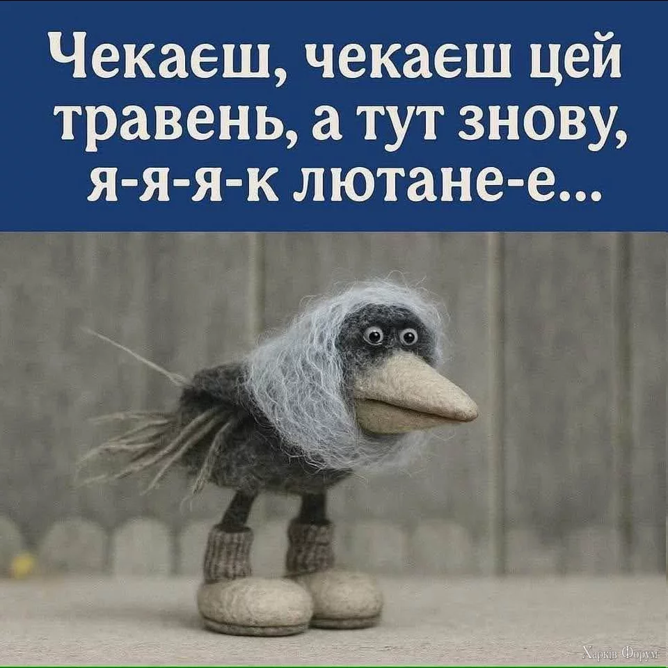 1747247166378.webp