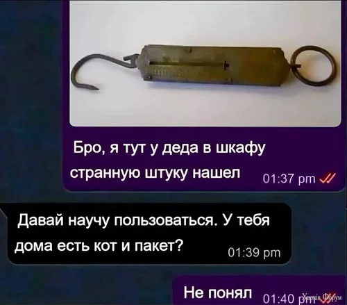1747260734476.webp