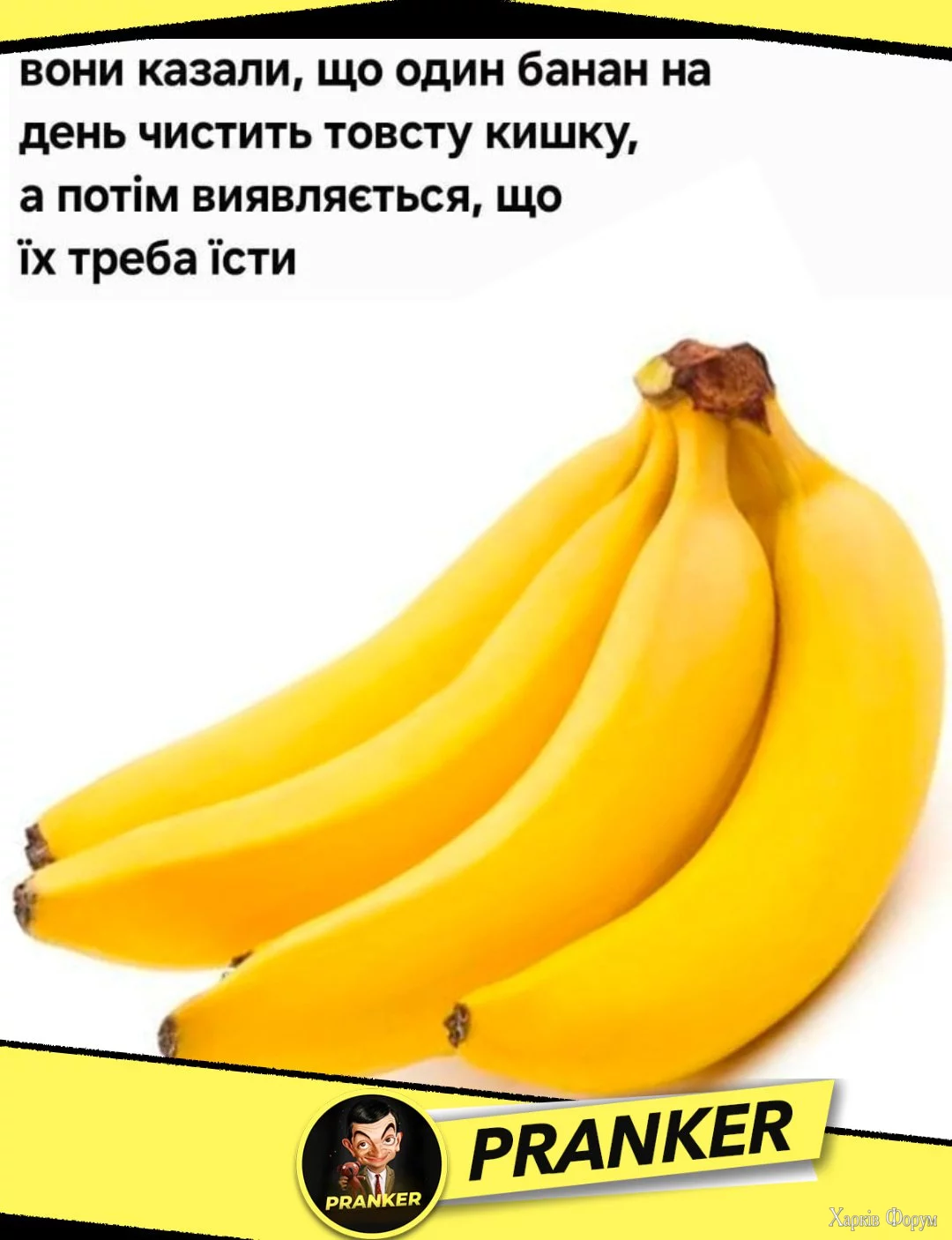 1747335124248.webp
