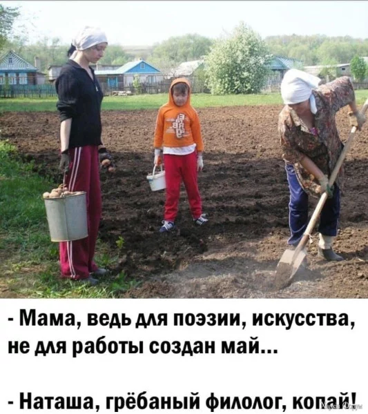 1747438227616.webp