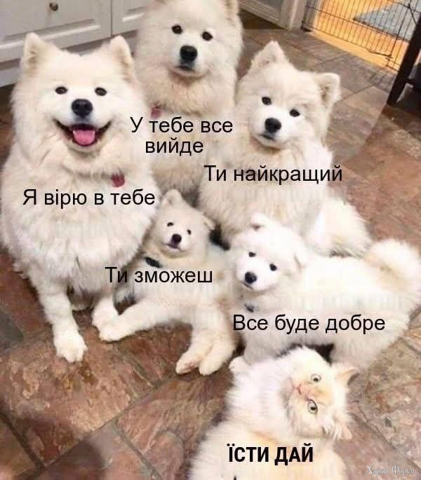 1747557398420.png