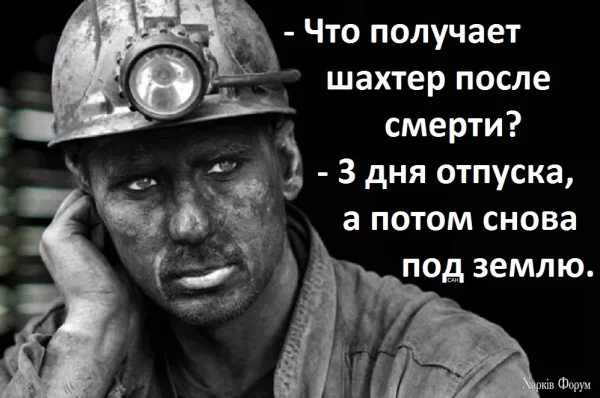 1747608041538.webp