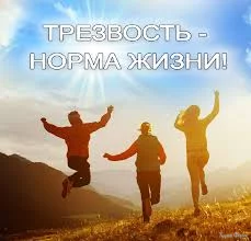 1747615792044.webp