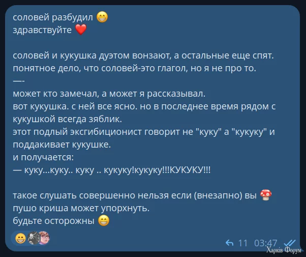 1747636464377.webp