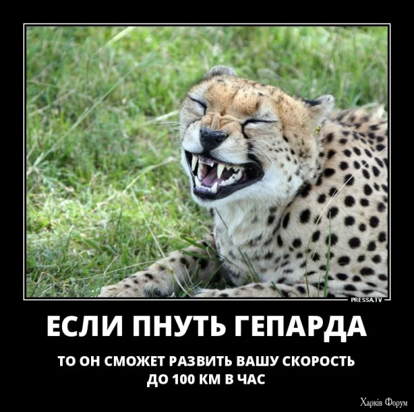 1747951531163.webp