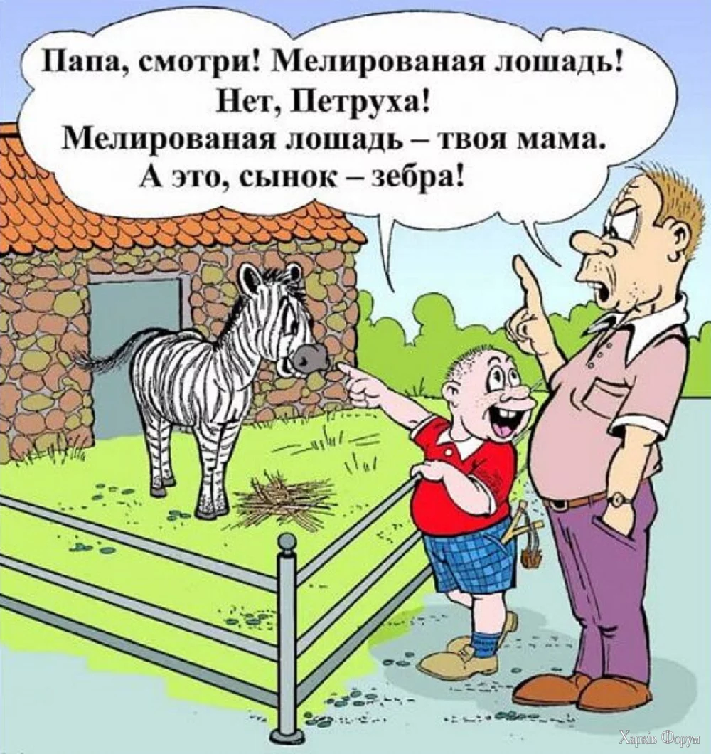 1748026136768.webp