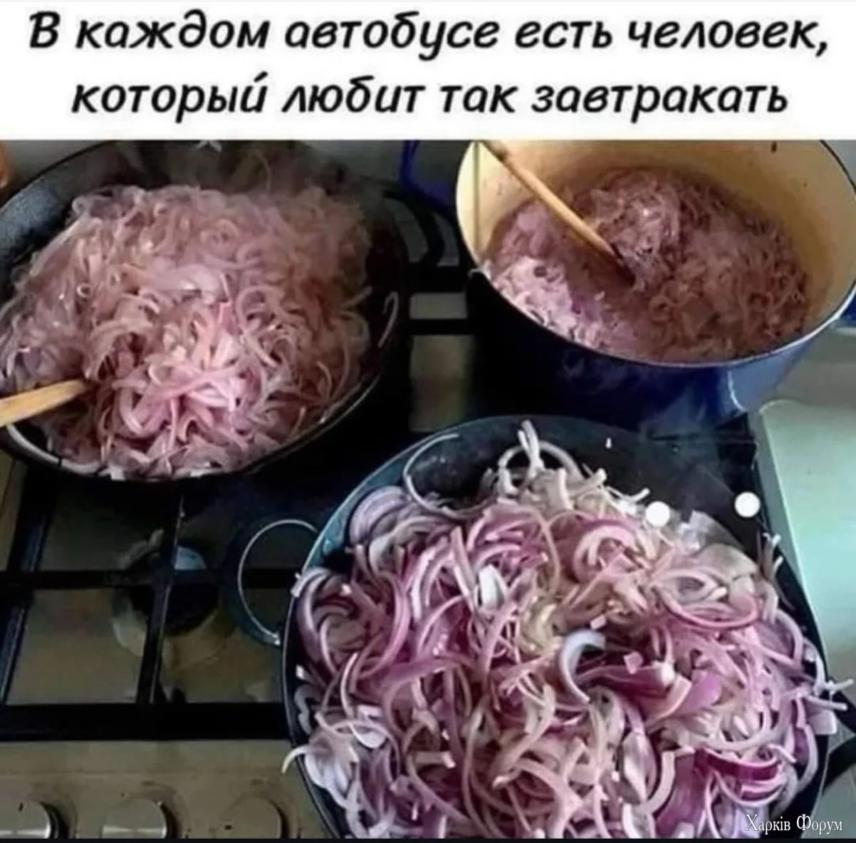 1748067935-mixnews-08f8847abef03289b31c73095627b1b2.webp