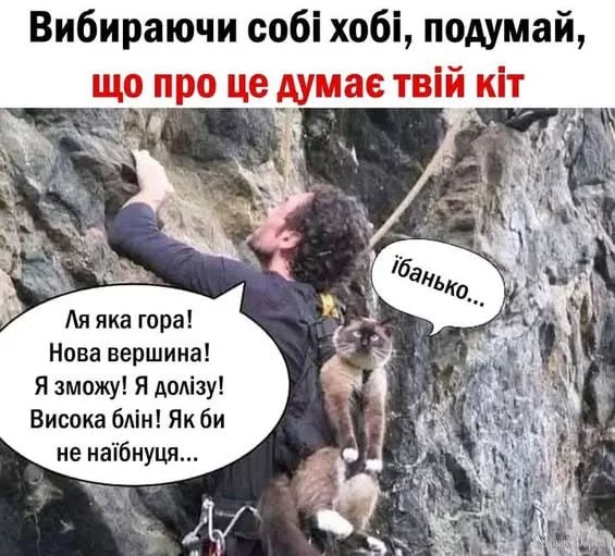 1748080957511.webp