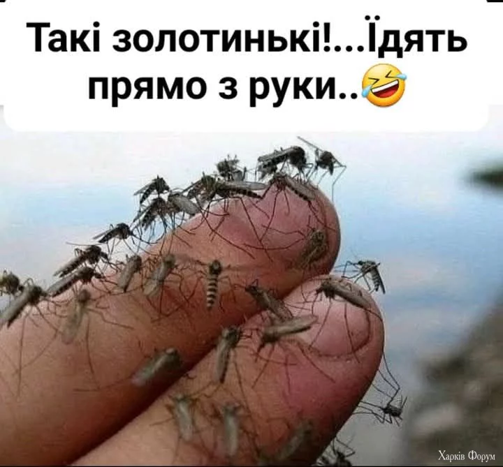 1748190151412.webp