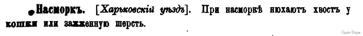 1748208131161.webp