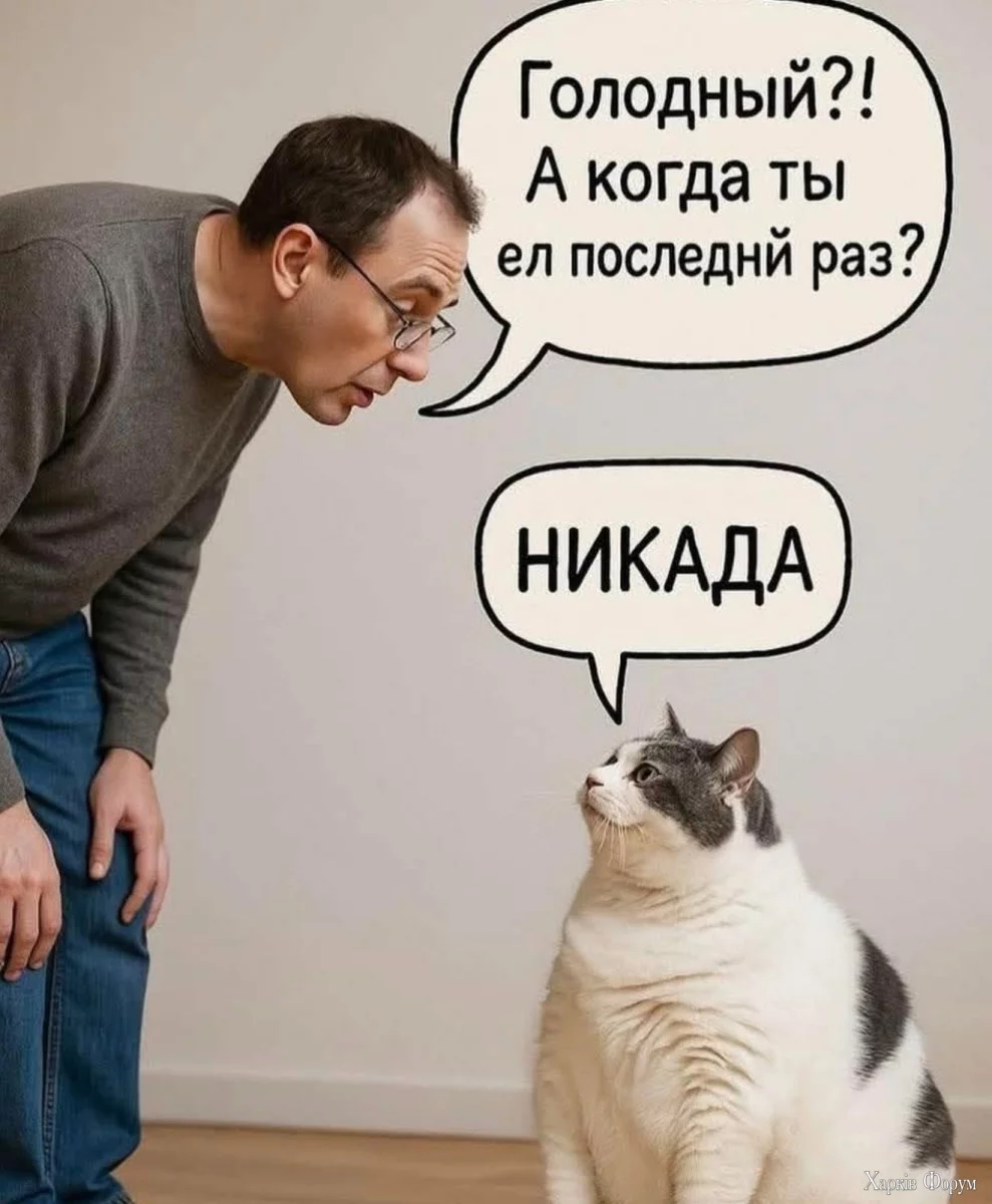 1748243894-mixnews-1f88b99d4a3c2b74e69c04160e705155.webp