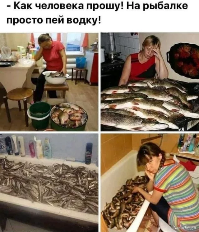 1748251413-mixnews-0bb151f55018610c8d0c694e7bde5d4e.webp