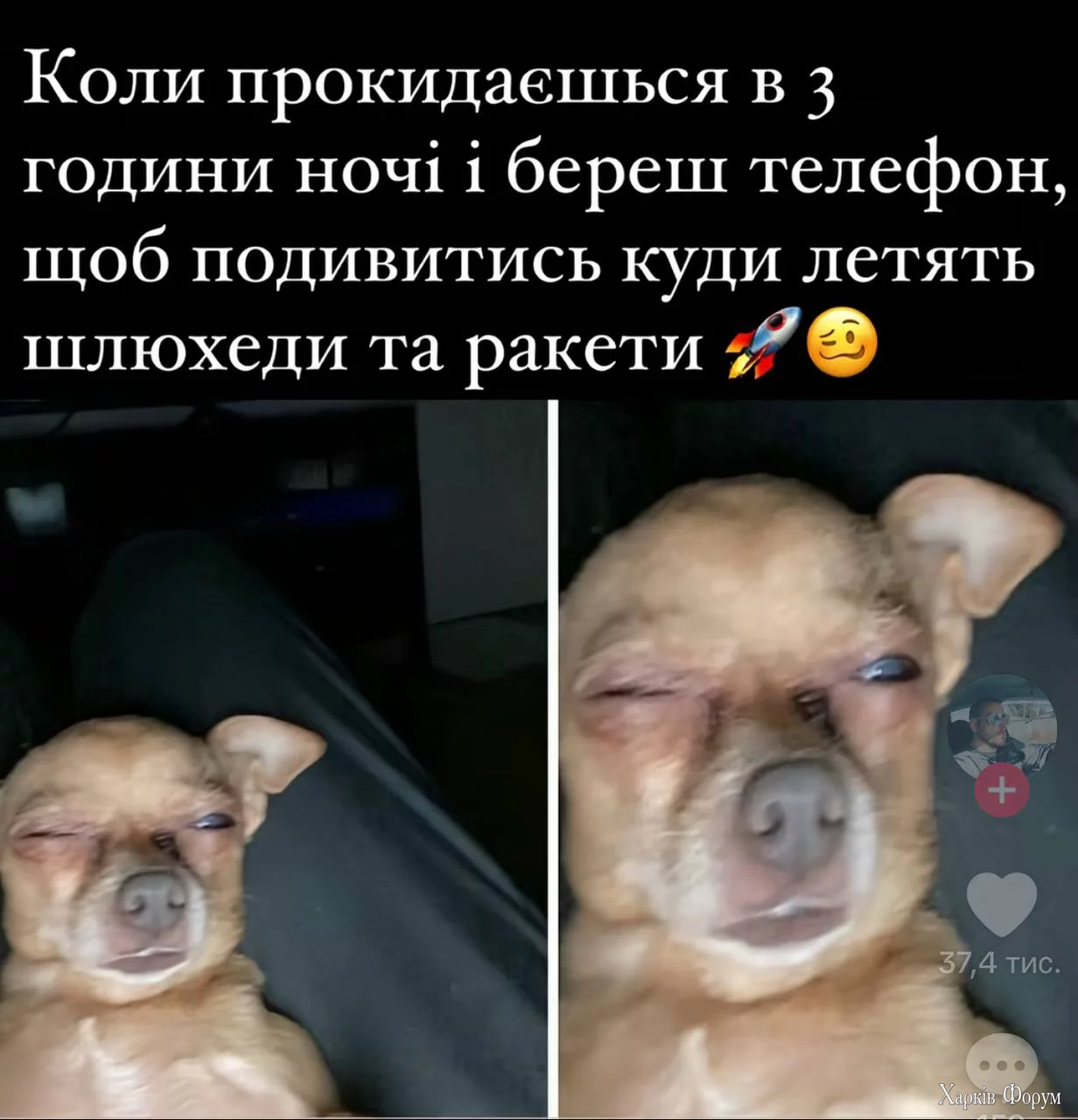 1748369845115.webp