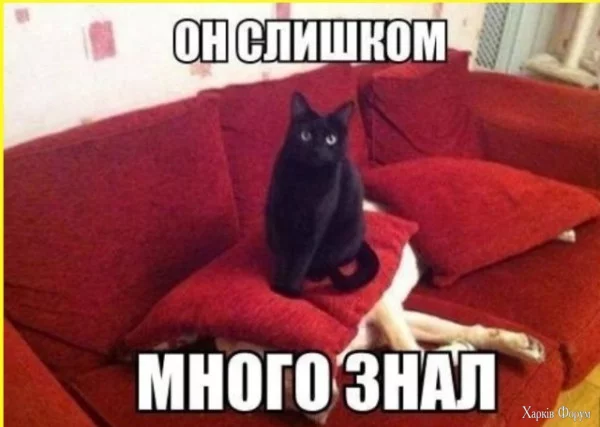 1748390147052.webp