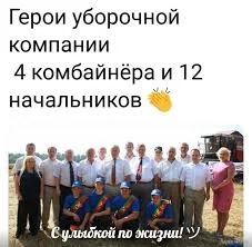 1748448605541.webp