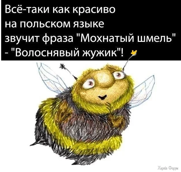 1748524811-mixnews-25923cbbcfec7a40e2c5266c627e2ec7.webp